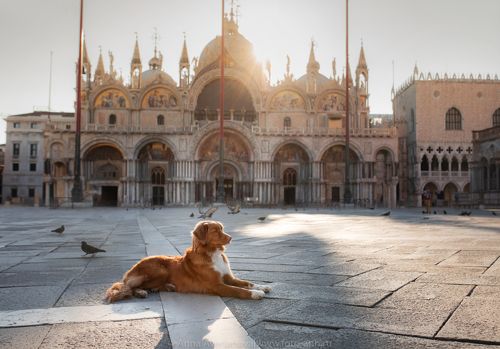 На площади Сан Марко