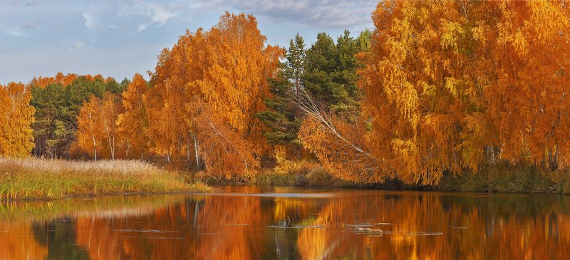 Золото осени фото превью
