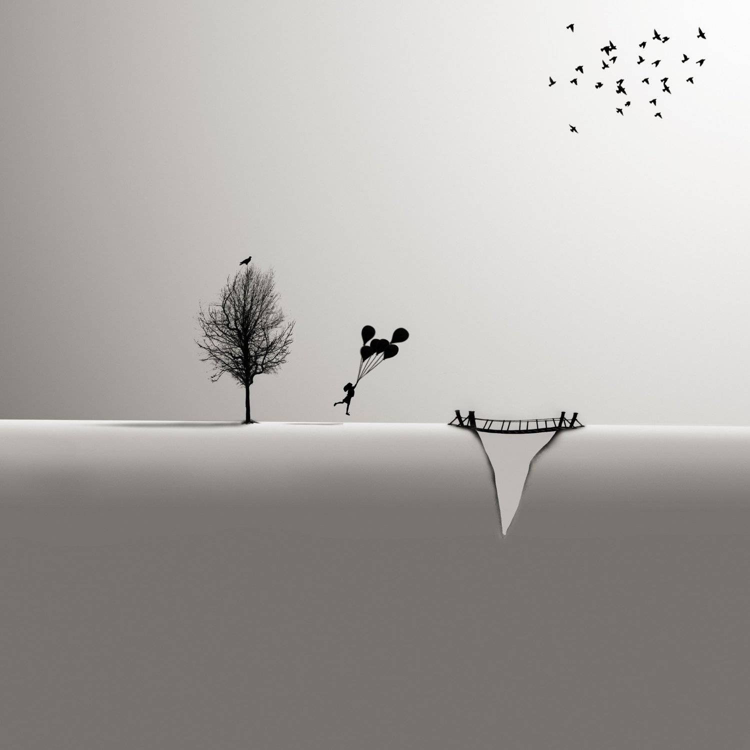 #35photo #surrealart#ps_fantasy#art_minimal #bnw_dream #photography#minimalism#conceptual#fineart #instagram#iranfeature#bnwminimalismmag#art_digital #ir_photographer#iran #photographize#blackandwhite#bnw_greatshots  #surreal#hadimalijani#art#fantastic_ea, Hadi Malijani