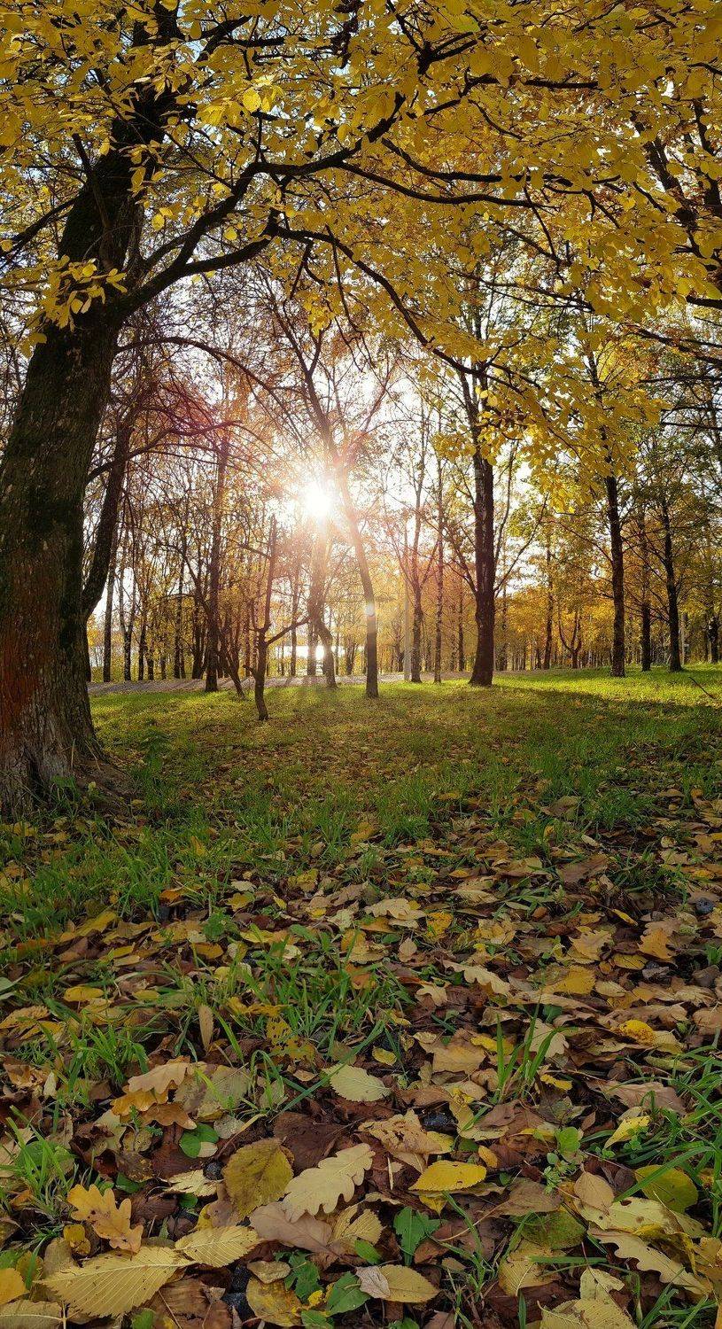 , Татьяна Пименкова