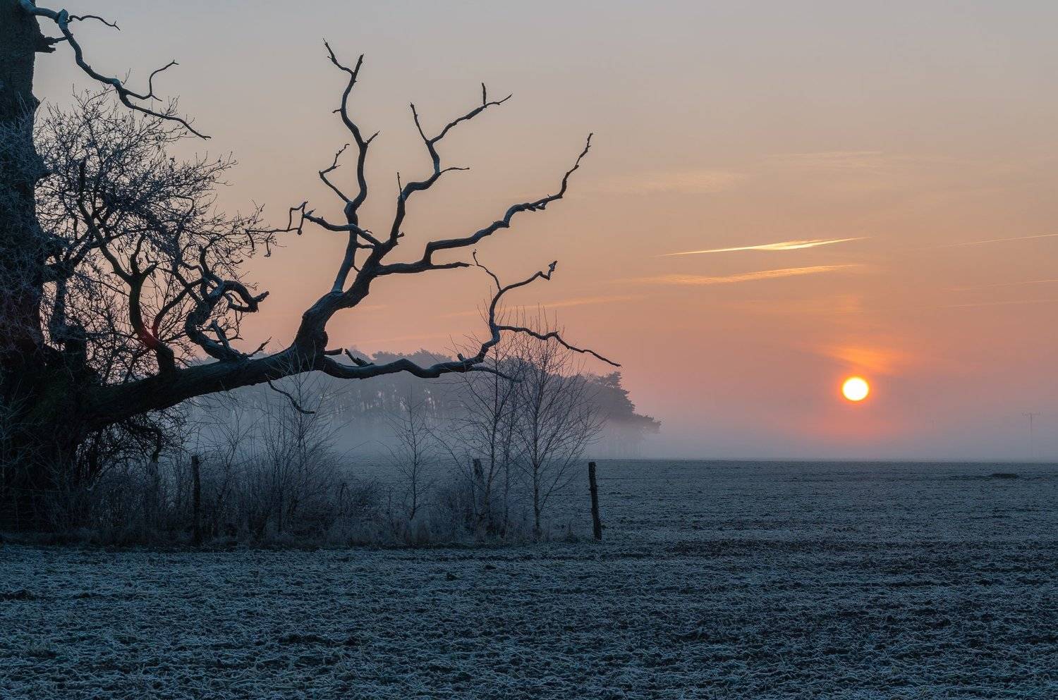 , Maciej Werbliński