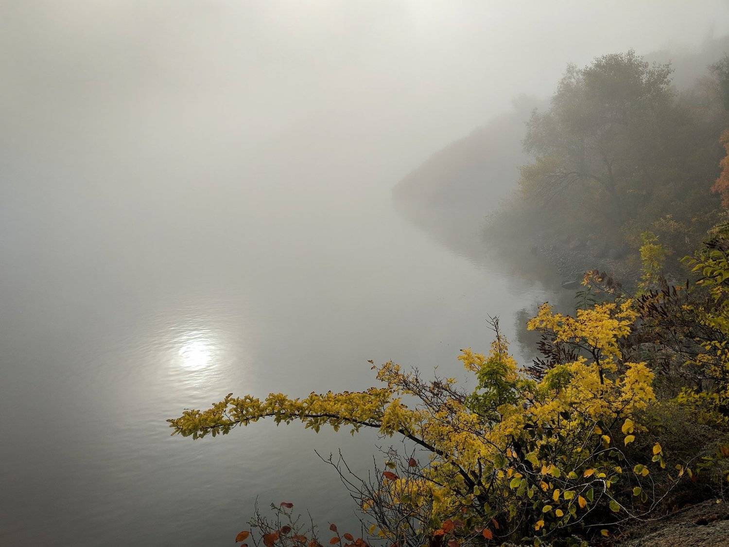 , Сергей Богачёв