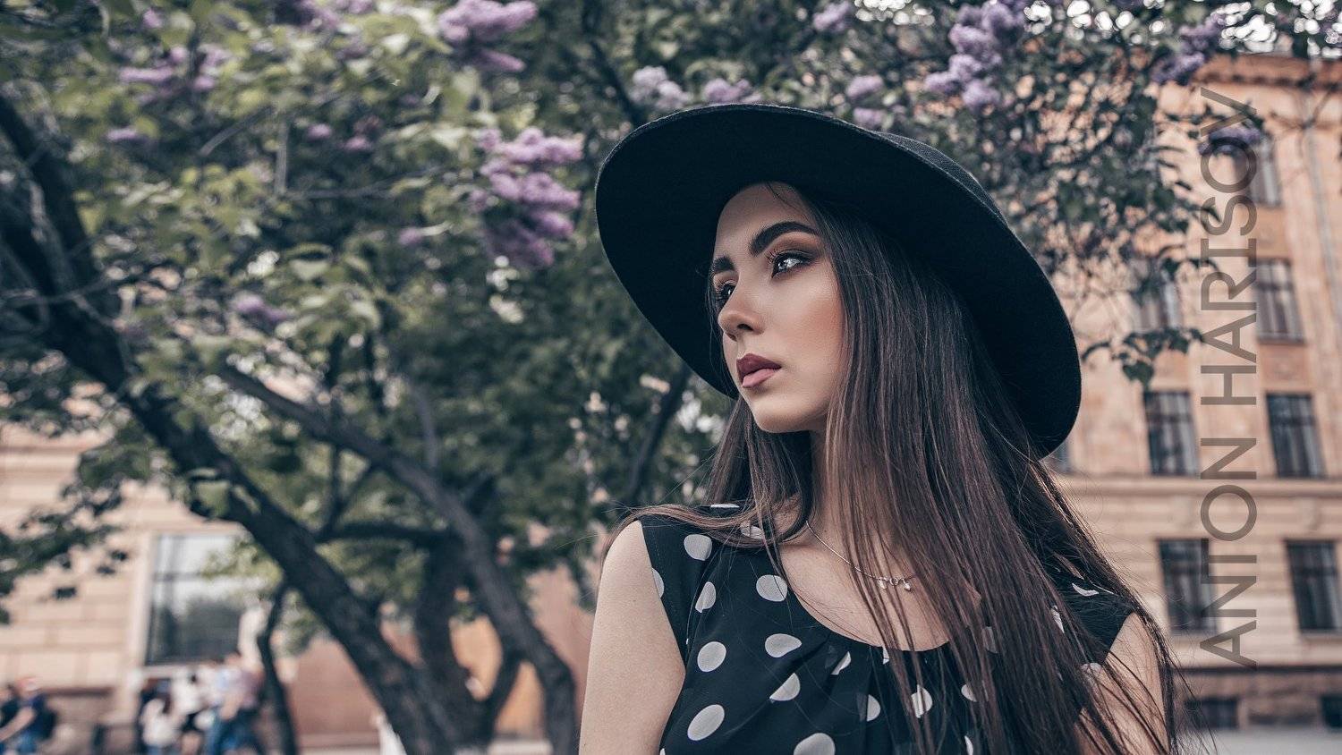 , Антон Харисов