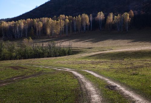 Дорога в осень.