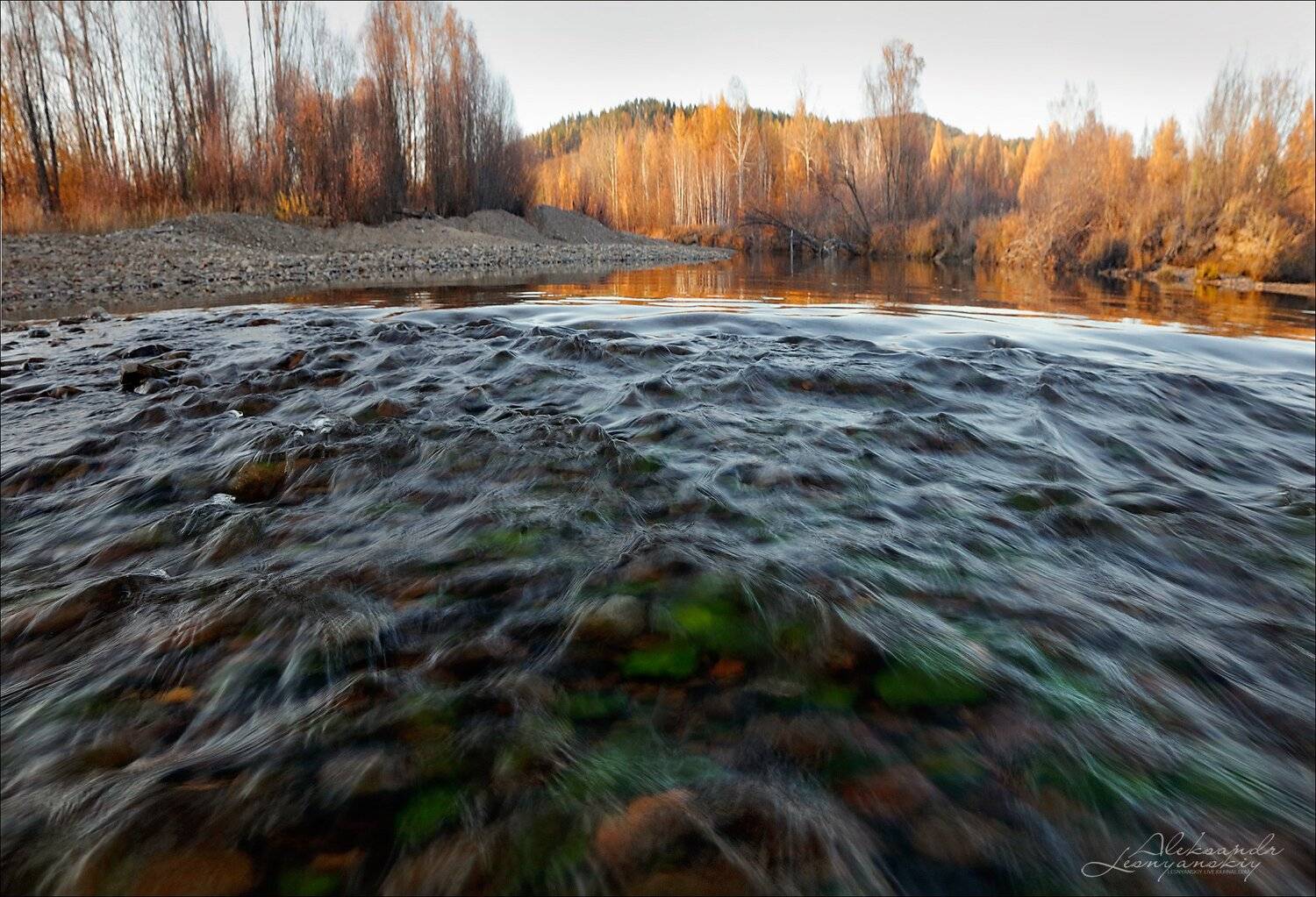 Забайкальский край, Чита, Александр Леснянский