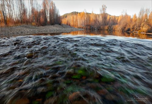 Река Читинка