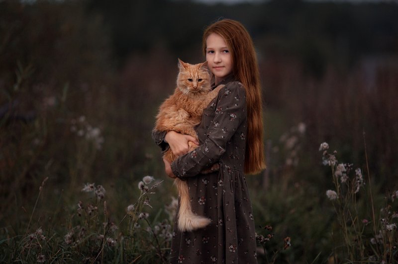 Рыжики фото превью