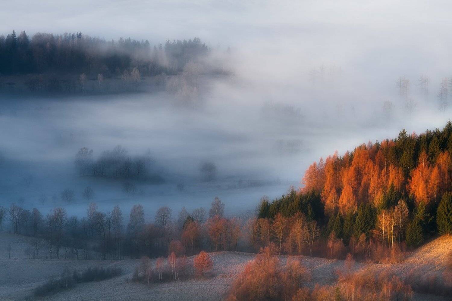 landscape,canon,mist,light,autumn,fog, Iza i Darek Mitręga