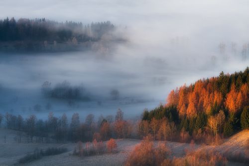 When Autumn Wake Up