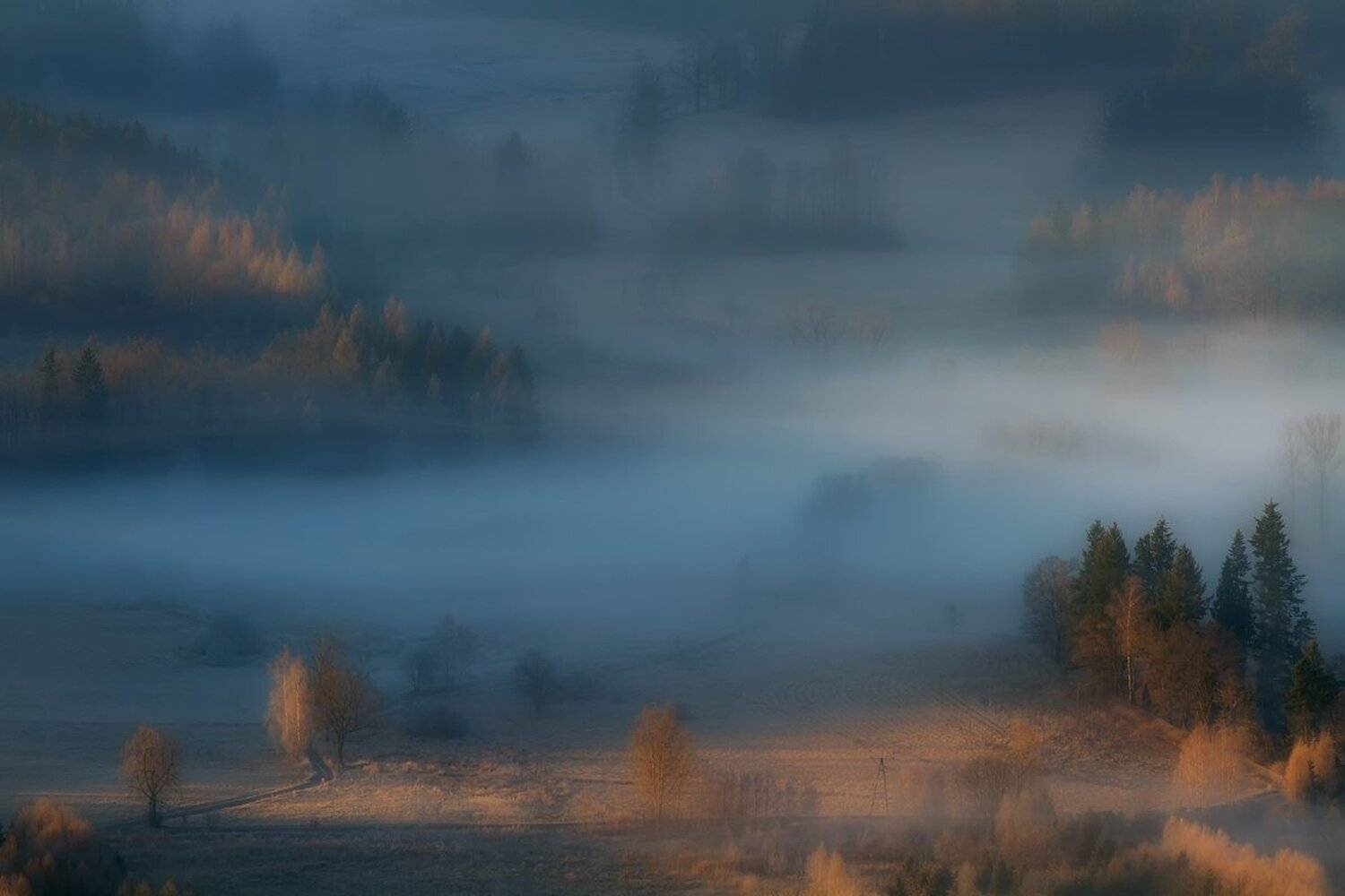 landscape,canon,mist,light,autumn, Iza i Darek Mitręga