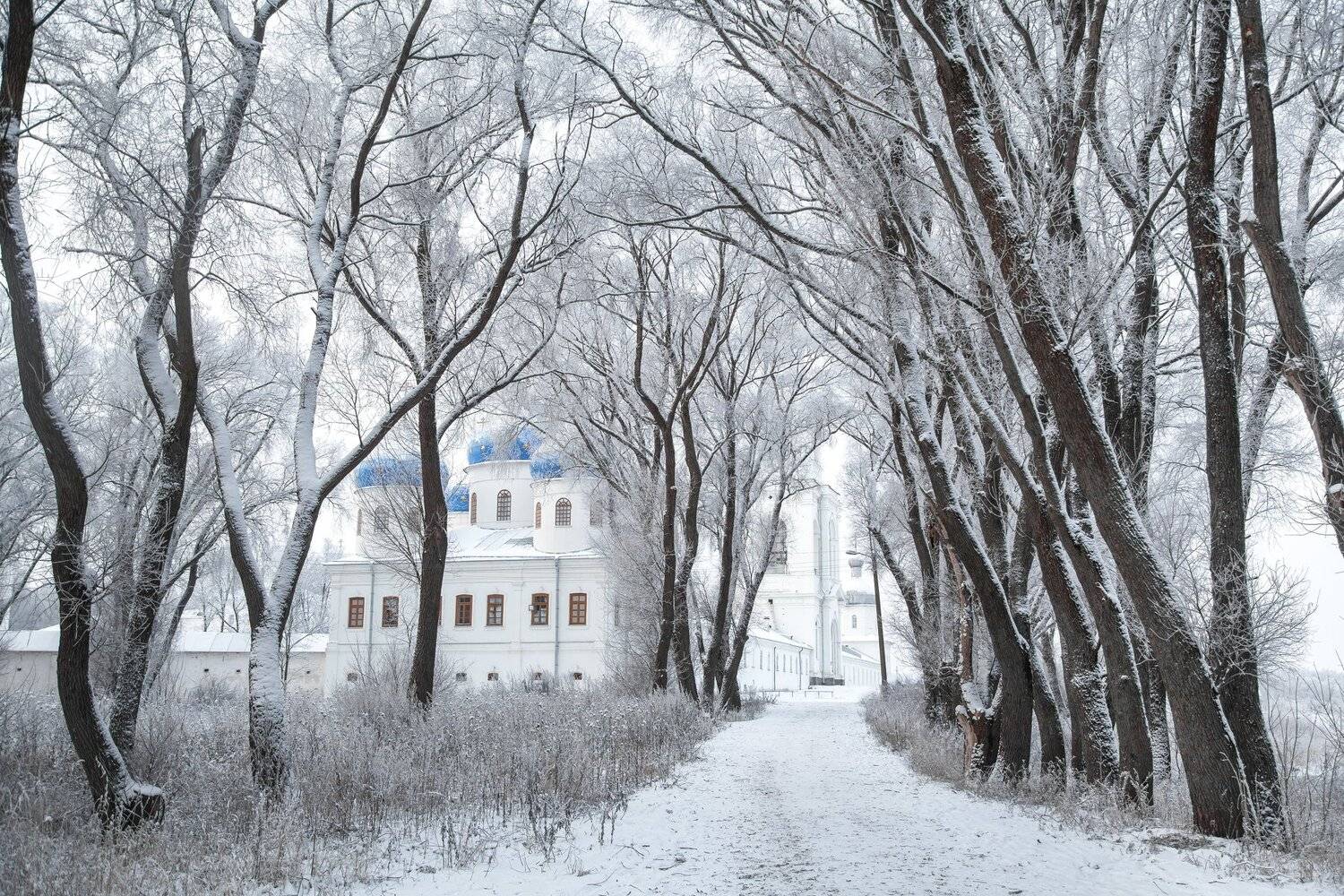 юрьев монастырь, великий новгород, новгород, Элина Хван