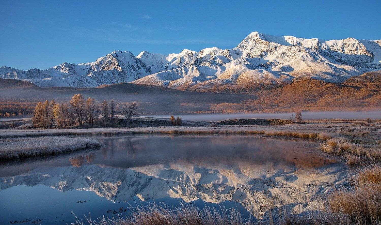 горы. алтай. джангысколь. осень., Евгений Дроботенко
