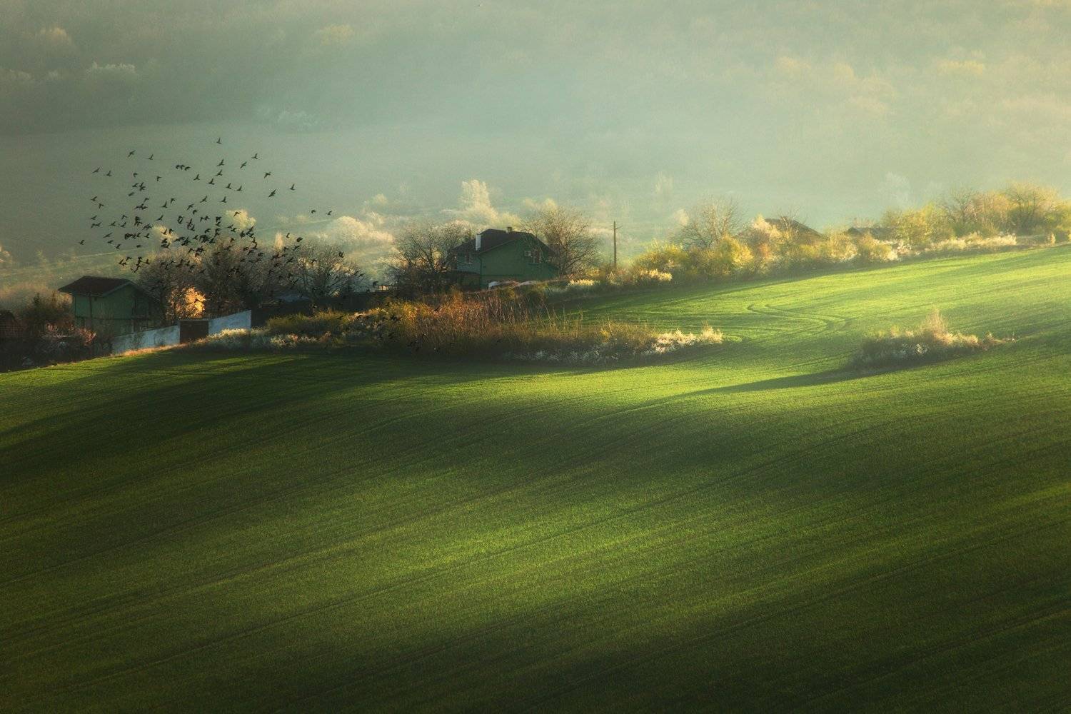 landscape nature spring green mood light, Lyuboslav