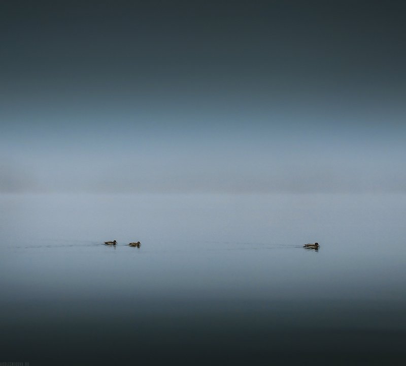 черногория, природа, путешествие Безмолвие Черного озера фото превью