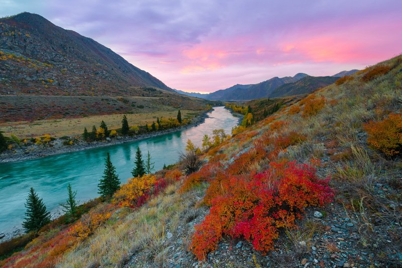 алтай Алтай фото превью