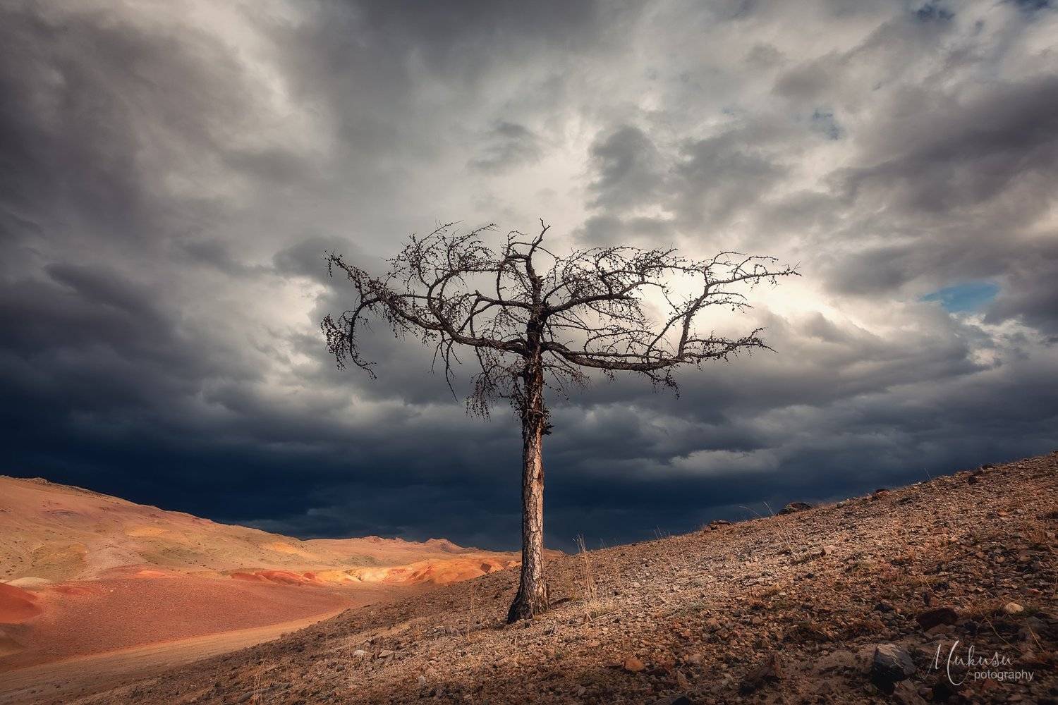 , Алексей Самойленко