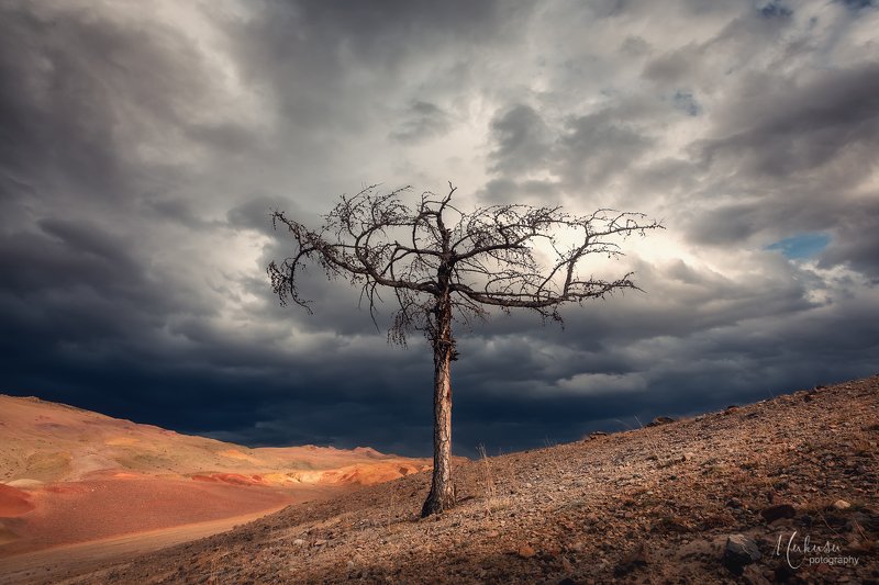 Есть ли жизнь на Марсе, Алтай фото превью