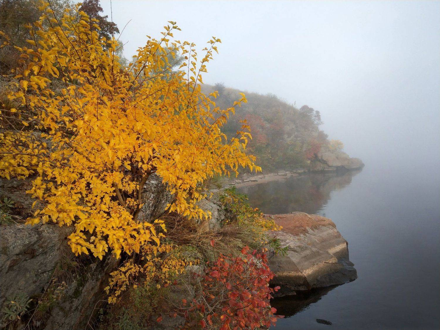 туман,река,пейзаж,желтый,цвет,дерево,вода,осень,камни,берег,утро,рассвет,релакс, Сергей Богачёв