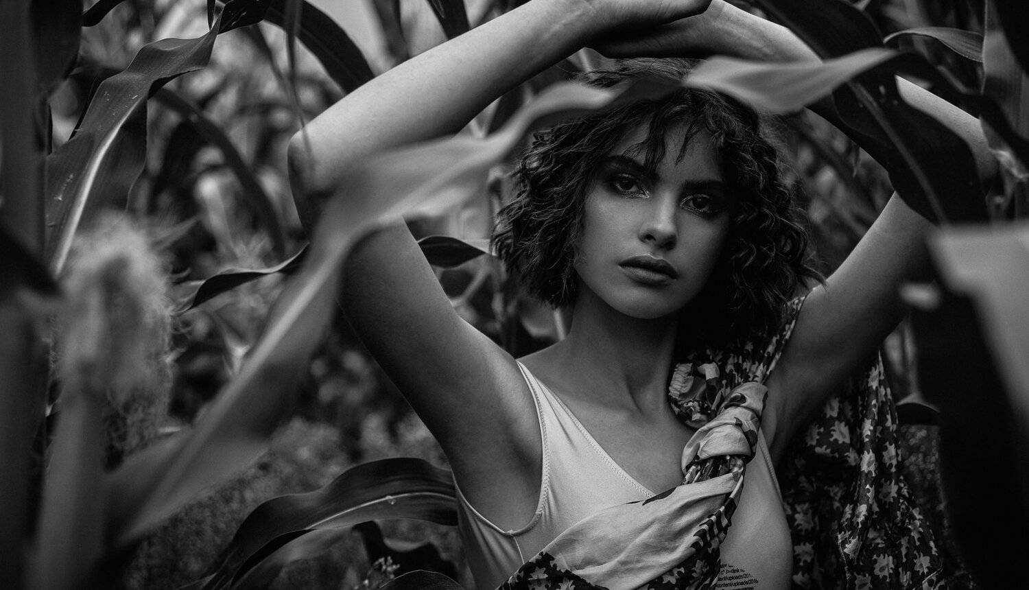 , Александр Фанковин