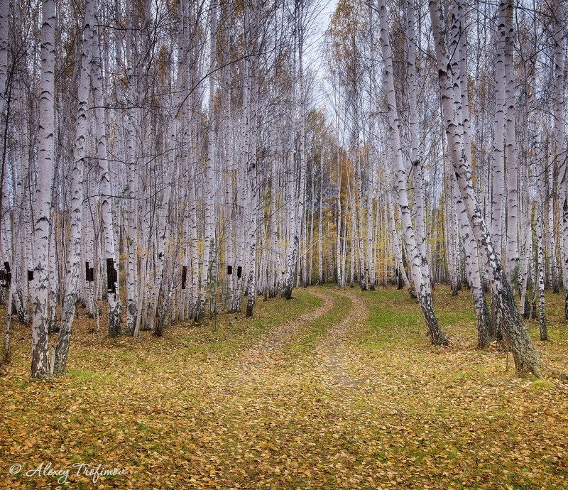 Там, где начинается дорога... фото превью