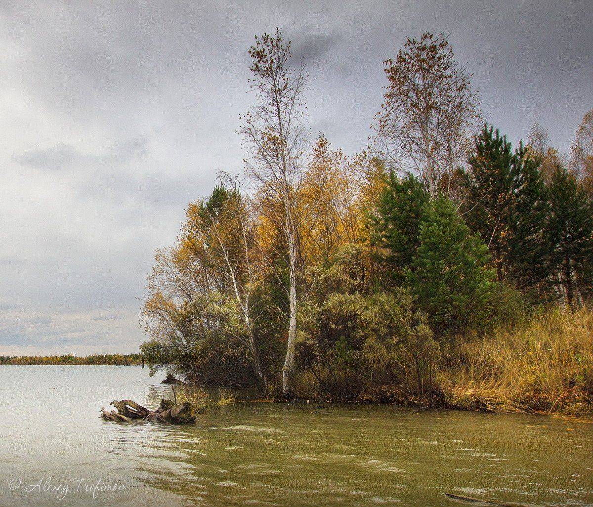 , Алексей Трофимов