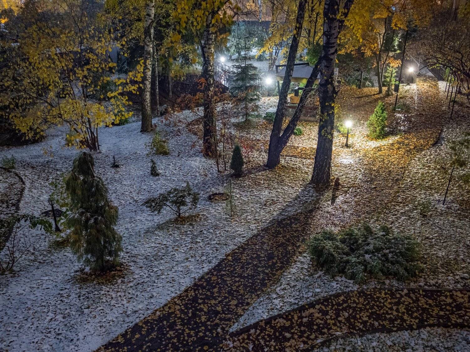 , Курлянцев Алексей