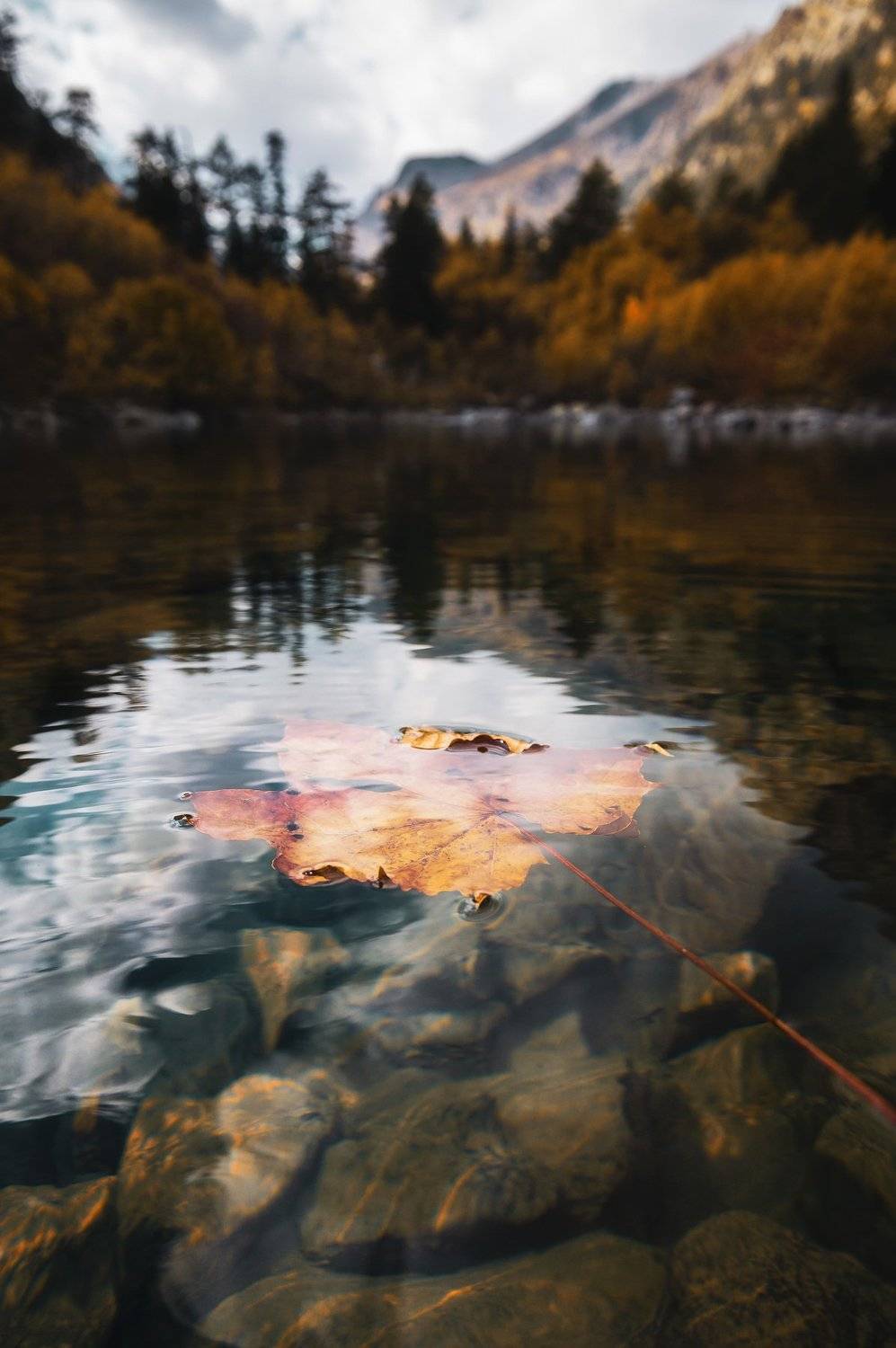 mountains leaf lake autumn cold nature caucasus, Егор Бугримов