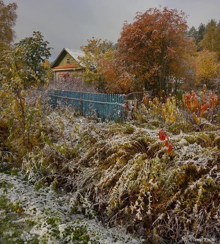 Снежно-золотая осень