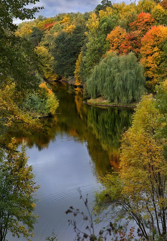осень, цвет, парк, пруд Осенний пруд в парке фото превью