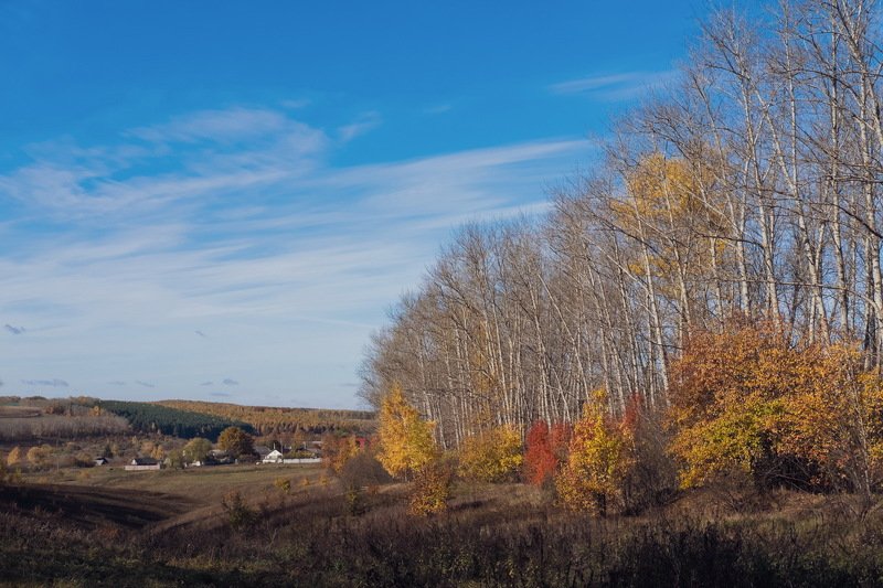 осень октябрь деревня Октябрь (деревенская версия) фото превью