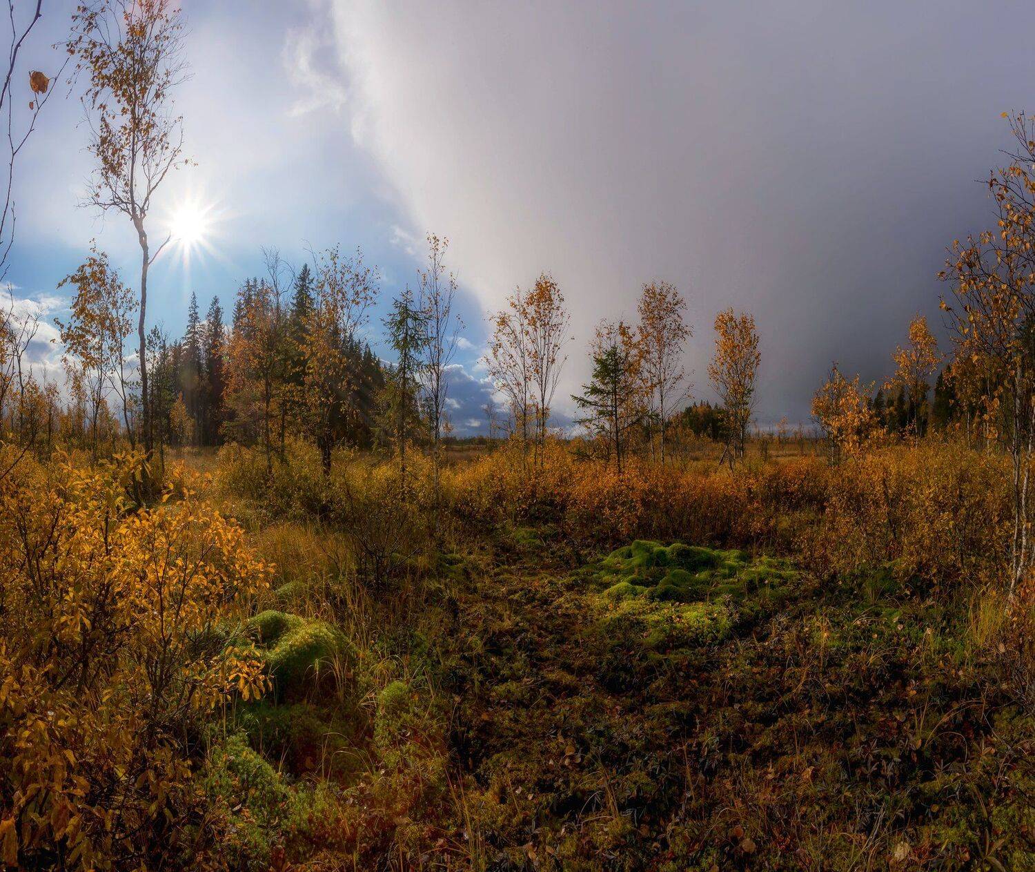 болото, кайф, рассвет ,север ,солнце, свет, закат, облака,  фототур, Павел Ващенков