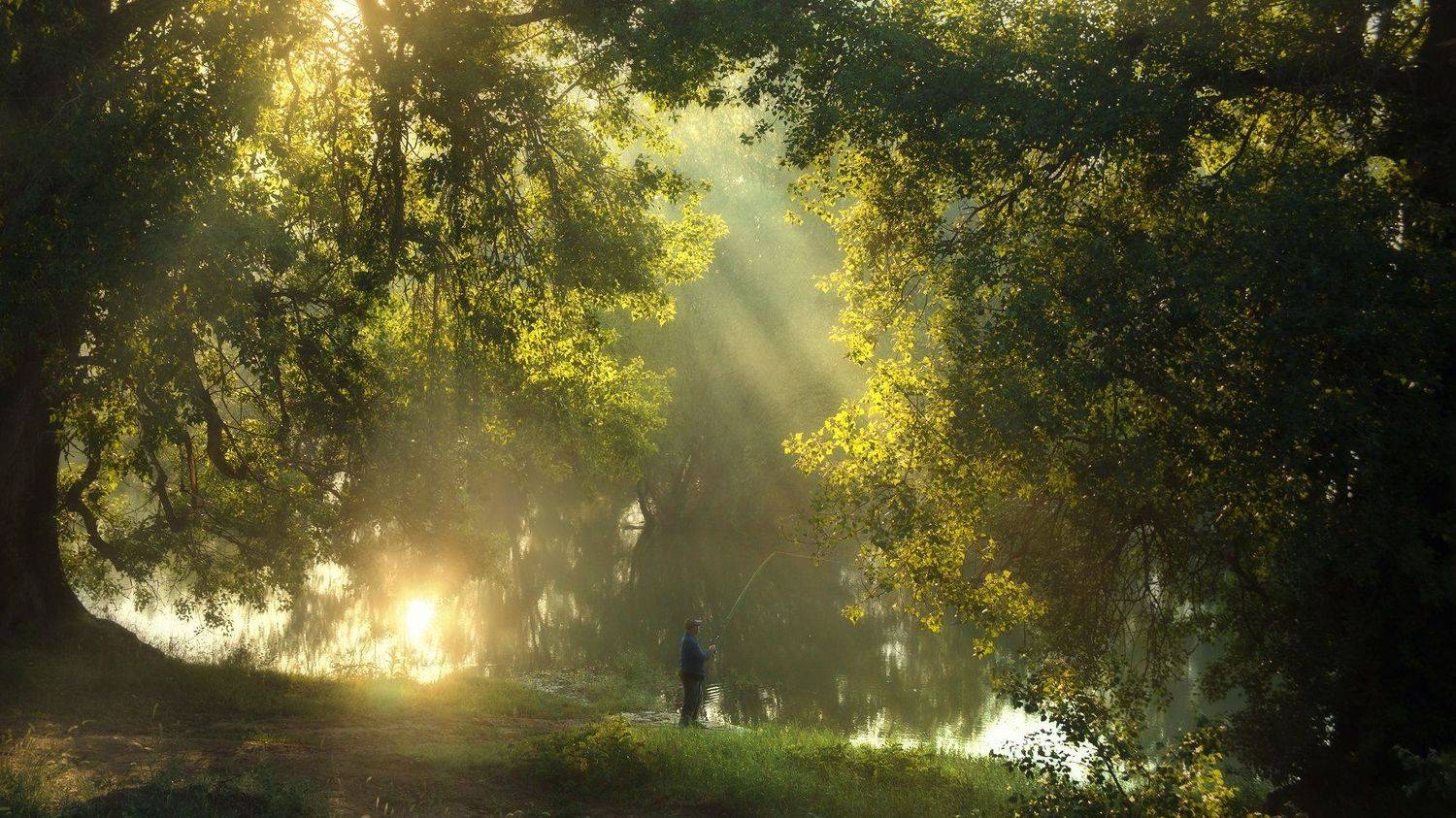 spring landscape nature river fisherman fishing morning misty, Lyuboslav