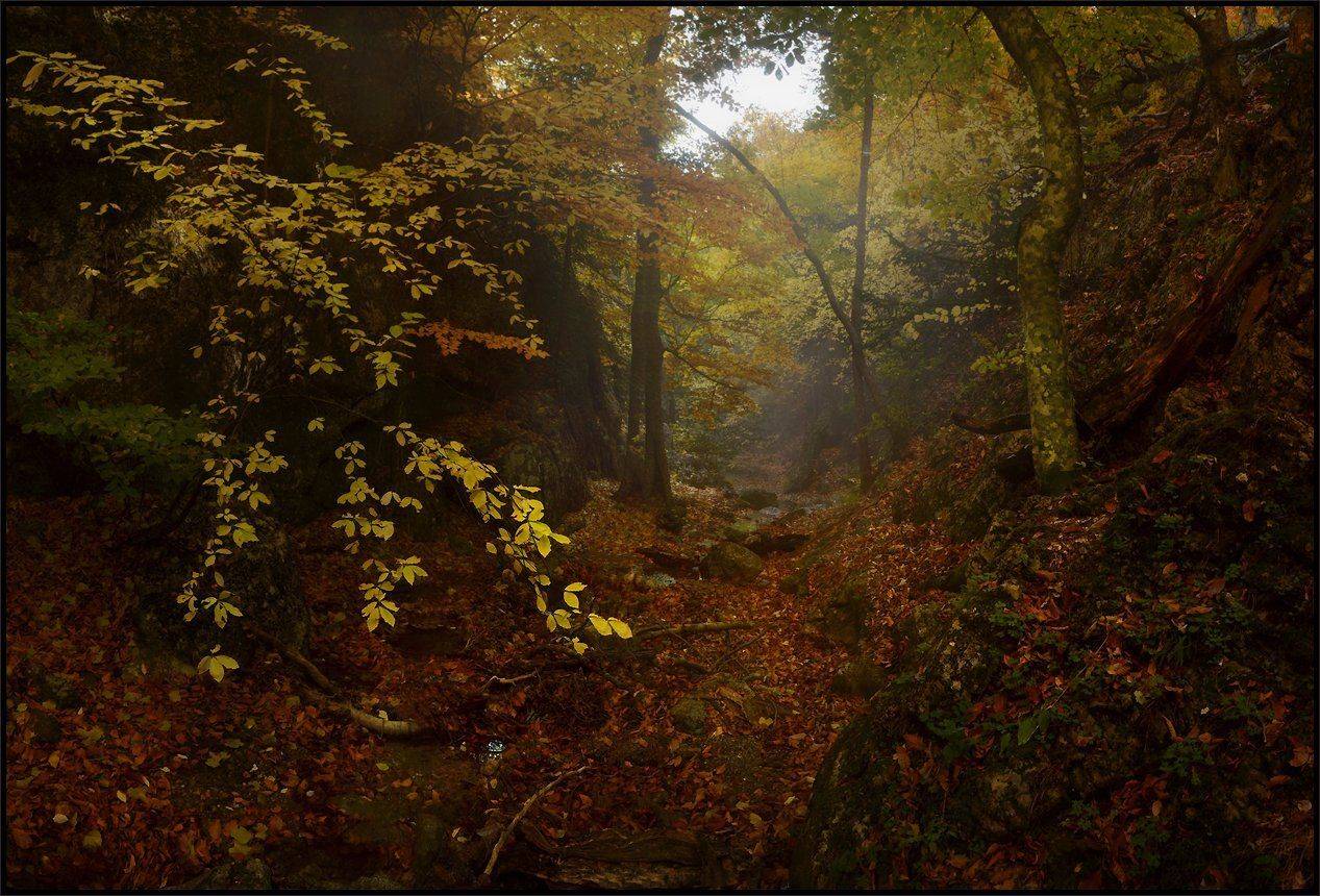 , Владимир Метцгер