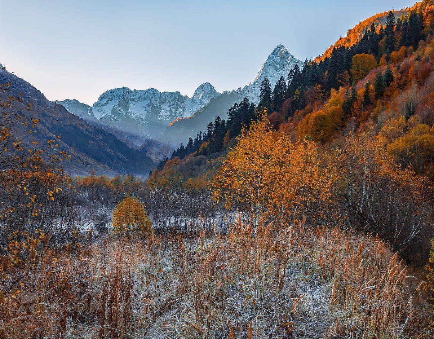 горы, гора, домбай, иней, рассвет, осень, берёза, гоначхирском ущелье, тебердинский государственный природный биосферный заповедник. кавказ, хребет, вершина, трава,, Лашков Фёдор