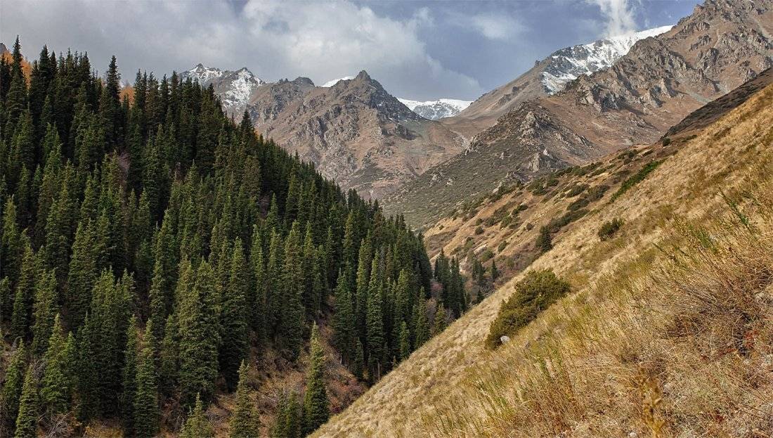 кыргызстан, горы, Элина Магалимова