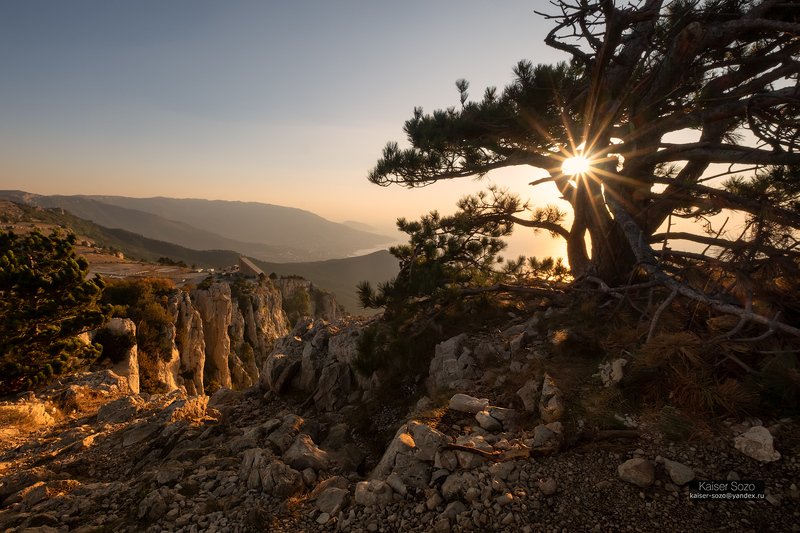 крым, ай-петри, горы, камни, сосны, рассвет Вопреки фото превью