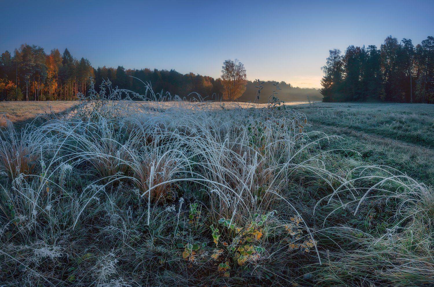 питер, павловск, павловскийпарк, осень, рассвет, Таня SHE (Aiya)