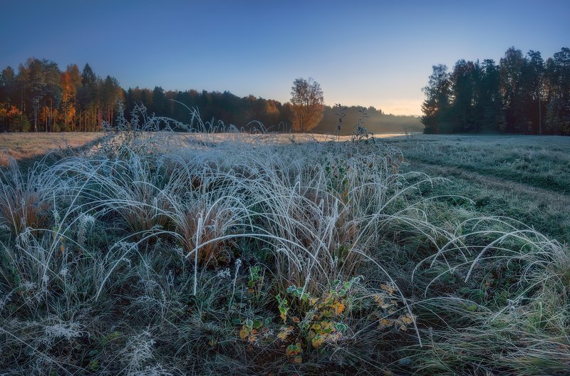 питер, павловск, павловскийпарк, осень, рассвет Вот и октябрь . . . фото превью