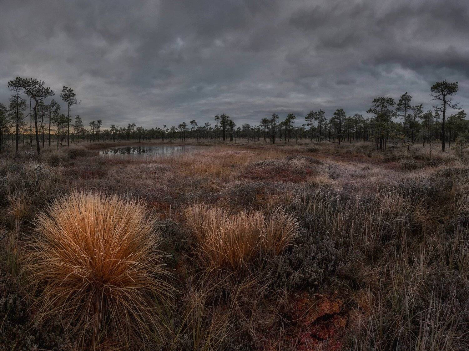 болото, кайф, рассвет ,север ,солнце, свет, закат, облака, отражение, фототур, Павел Ващенков