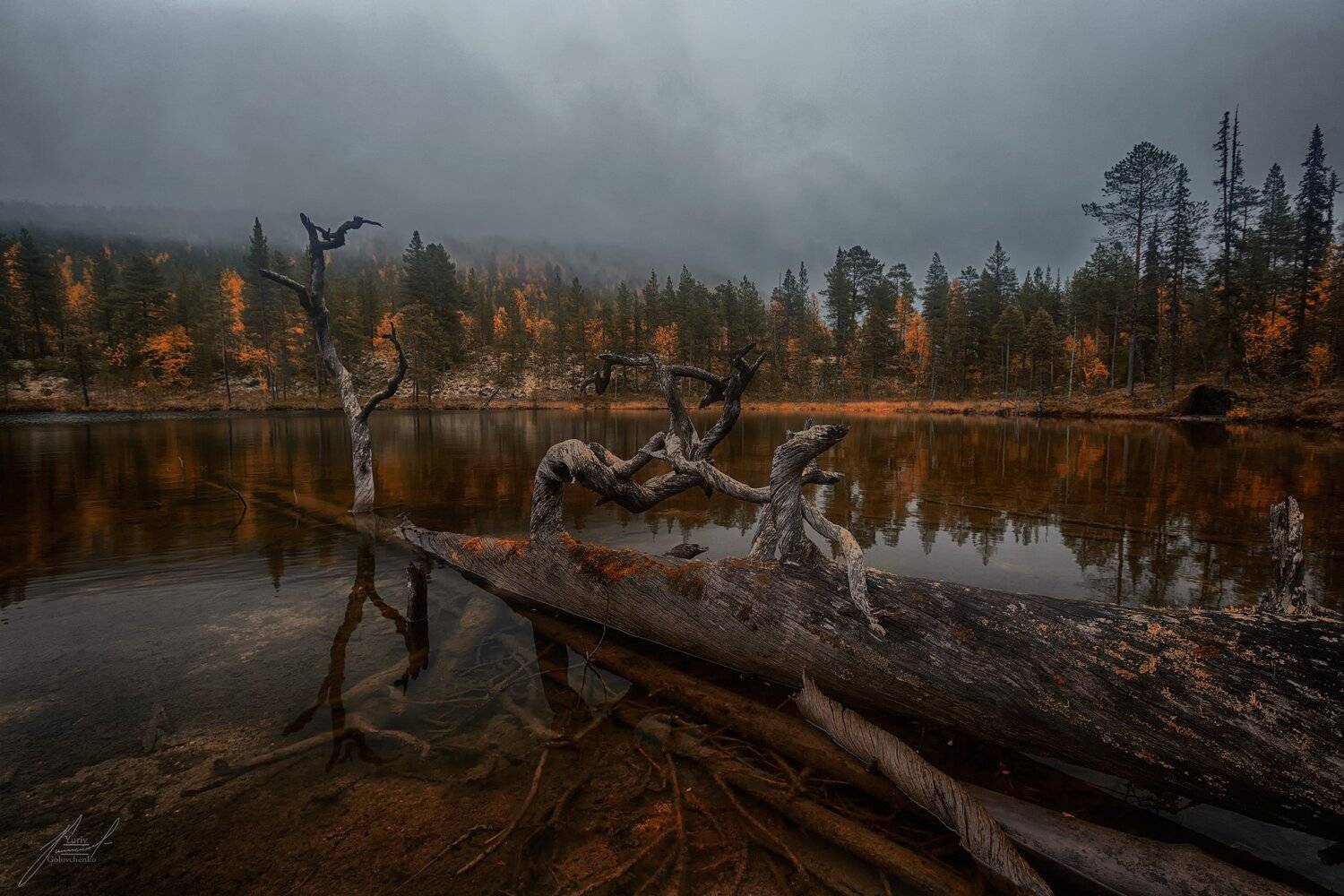 , Юрий Головченко