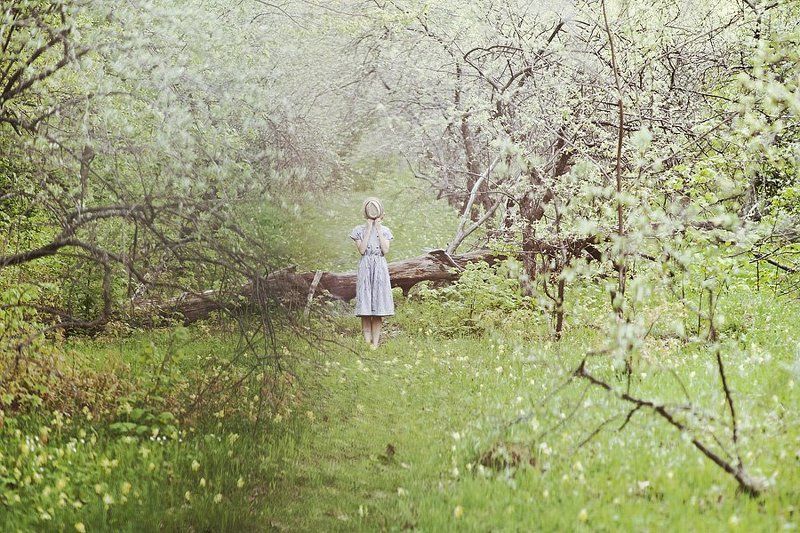 Райские яблочки фото превью