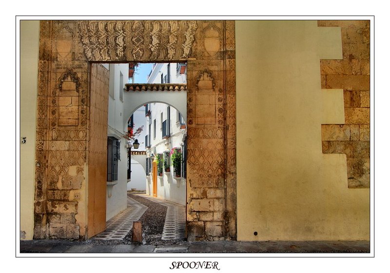 * * * фото превью