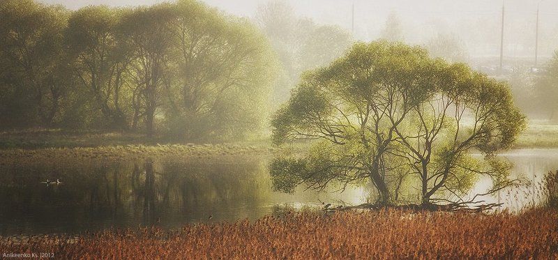 утро туманное фото превью