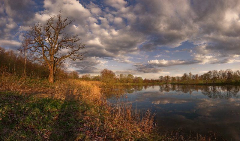 Дыхание весны фото превью