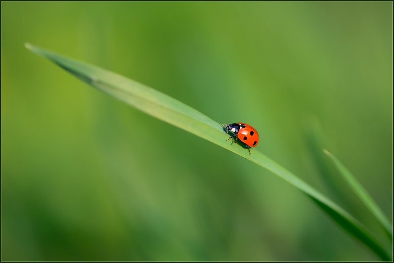Дорожка к небу. фото превью