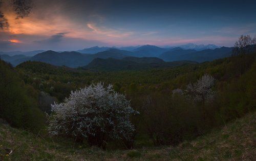 И приходит новый день