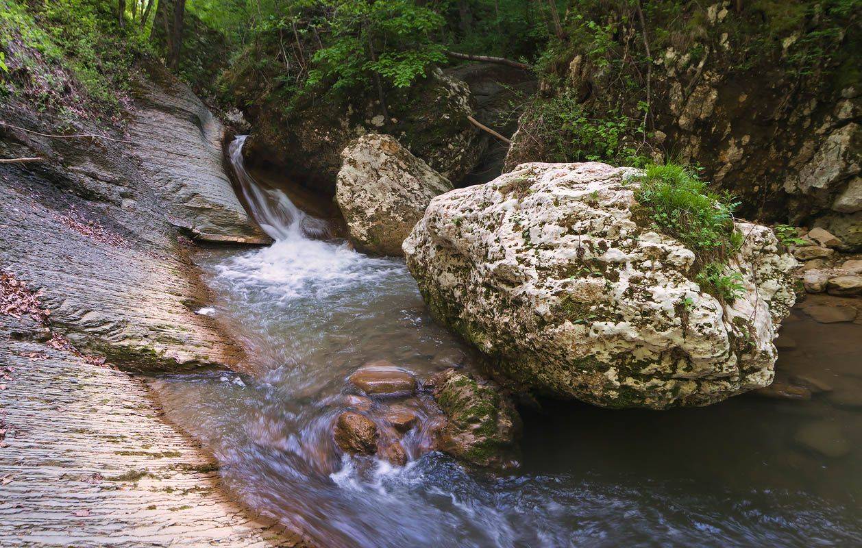 , Николай Мысливцев