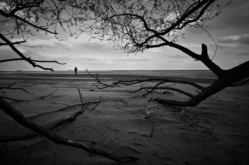 the one фото превью