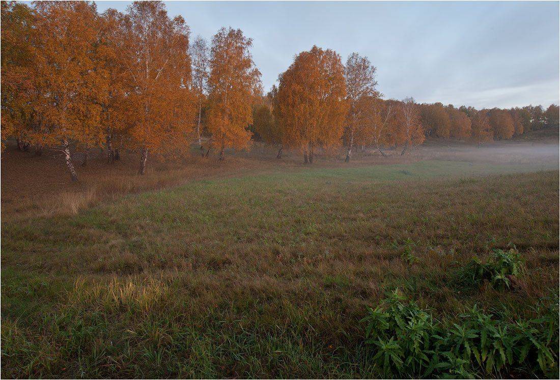 , Кутыгин Эдуард