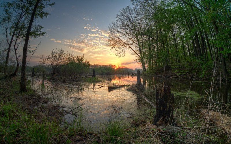 мишин илья, пейзаж а вот и солнце фото превью